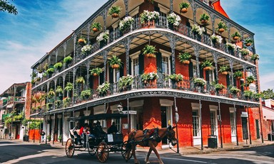 Large french quarter s